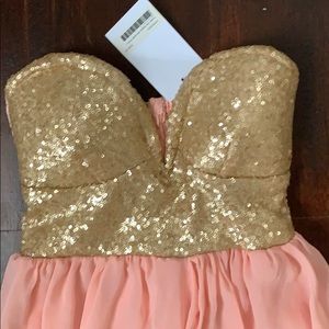 Champagne Sparkle and Pink Maxi Dress